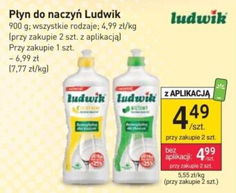 Stokrotka Płyn do naczyń Ludwik 900 g oferta