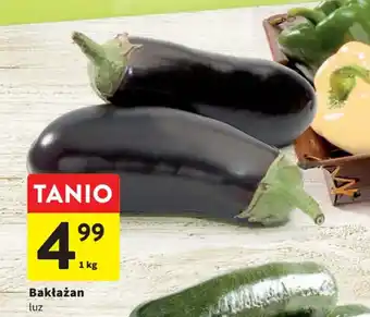 Intermarche Bakłażan 1 kg oferta