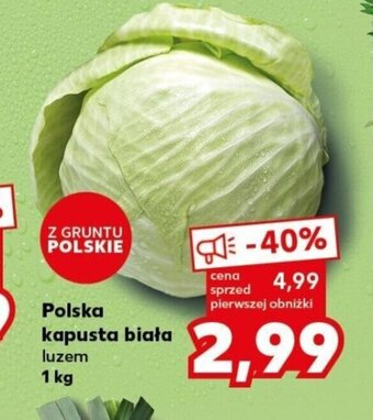 Kaufland Polska kapusta biała 1kg oferta