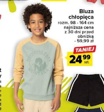 Carrefour Bluza chłopięca oferta