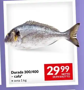 Makro Dorada 300/400 - cała* 1 kg oferta