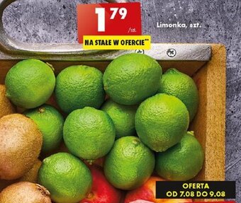 Biedronka Limonka, szt. oferta