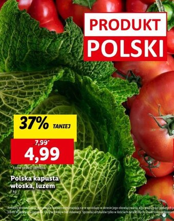 Lidl Polska kapusta włoska, luzem 1 kg oferta
