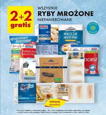 Biedronka WSZYSTKIE RYBY MROŻONE NIEPANIEROWANE oferta