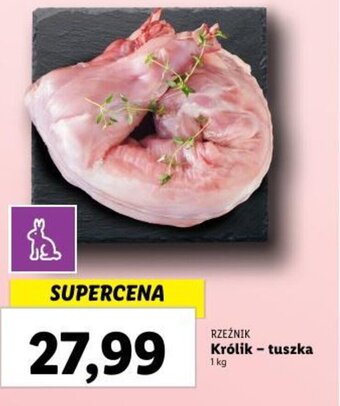 Lidl Królik - tuszka 1 kg oferta