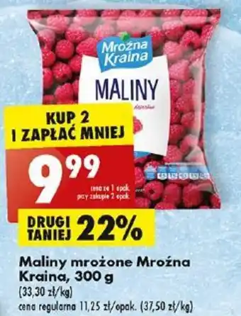 Biedronka Maliny mrożone Mroźna Kraina, 300 g oferta