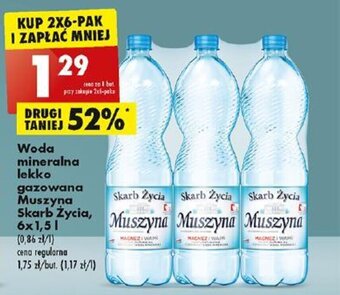 Woda mineralna lekko gazowana Muszyna Skarb Życia, 6x1,5l