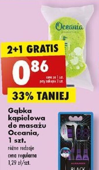 Biedronka Gąbka kąpielowa do masażu Oceania, 1 szt. oferta