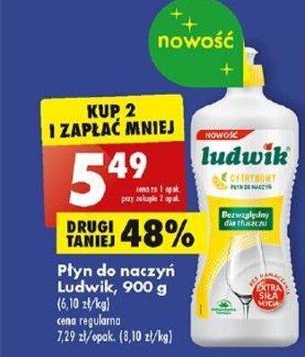 Biedronka Płyn do naczyń Ludwik, 900 g oferta