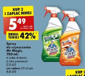 Biedronka Spray do czyszczenia Mr Magic, 750 ml: oferta