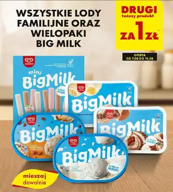 Biedronka WSZYSTKIE LODY FAMILIJNE ORAZ WIELOPAKI BIG MILK oferta