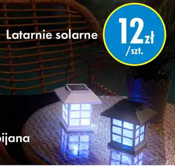 Tedi Latarnie solarne oferta