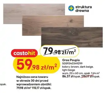 Castorama Gres Poupia 5059340349299 oferta