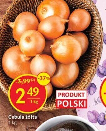 Delikatesy Centrum Cebula żółta 1 kg oferta