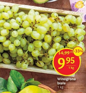 Delikatesy Centrum Winogrona białe 1 kg oferta