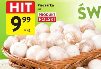 Intermarche Pieczarki oferta