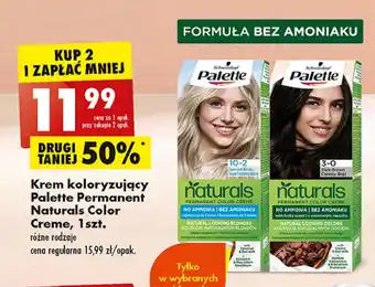 Biedronka Farba do włosów 10-2 oferta