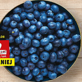 Biedronka Borówka amerykańska oferta