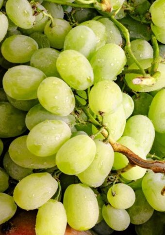 Lidl Winogrona oferta