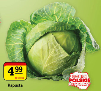 Gram Market Kapusta oferta
