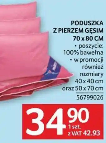 Selgros PODUSZKA Z PIERZEM GĘSIM 70X80CM oferta