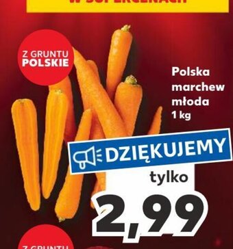 Kaufland Polska marchew młoda 1 kg oferta