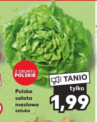 Kaufland Polska sałata masłowa sztuka oferta