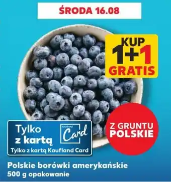 Kaufland Polskie borówki amerykańskie 500 g opakowanie oferta