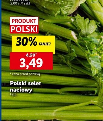 Lidl Polski seler naciowy 1 szt. oferta