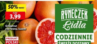Lidl Grejpfrut czerwony, luzem 1 kg oferta