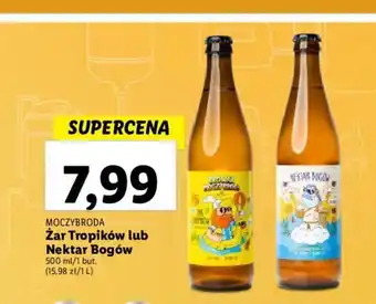 Lidl Żar Tropików lub Nektar Bogów 500 ml oferta