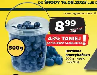 Netto Borówka amerykańska oferta