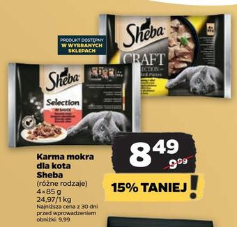 Netto Karma mokra dla kota sheba oferta