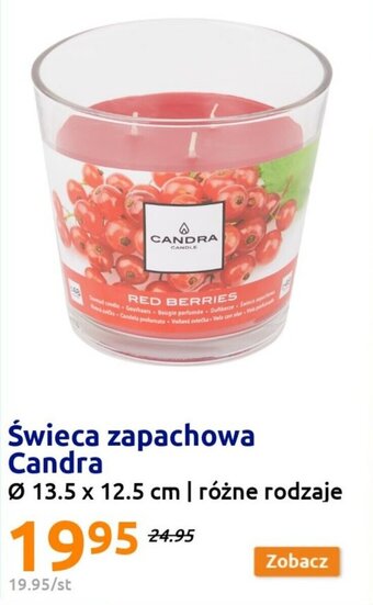 Action Świeca zapachowa Candra Ø 13.5 x 12.5 cm | różne rodzaje oferta