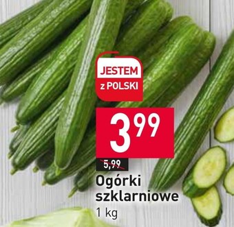 Stokrotka Market Ogórki oferta