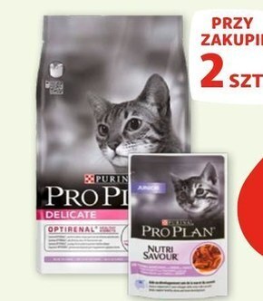 Maxi Zoo Mokra karma dla kota pro plan oferta