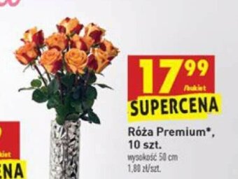 Biedronka Róża Premium 10 szt. oferta