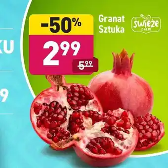 ALDI Granat 1szt. oferta