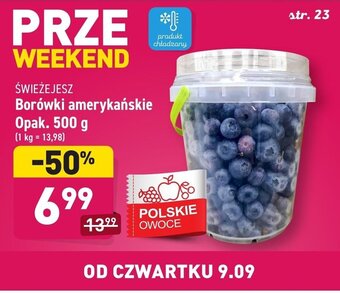 ALDI Borówki amerykańskie 500g oferta
