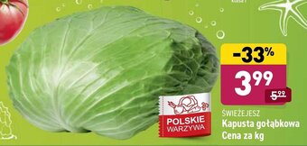 ALDI Kapusta gołąbkowa 1kg oferta