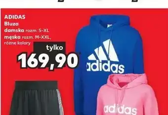 Kaufland Bluza męska m-xxl oferta