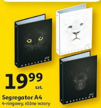 Auchan Segregator A4 oferta
