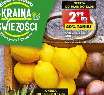 Biedronka Cytryna, opak. 500 g oferta