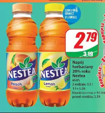 Dino Lizak wiśnia malina oferta