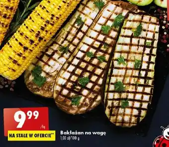 Biedronka Bakłażan na wagę 100g oferta