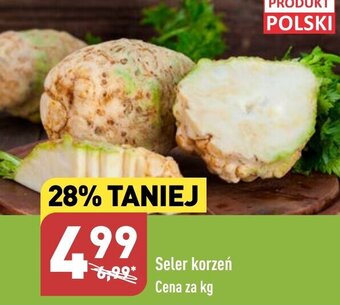 ALDI Seler korzeń 1kg oferta