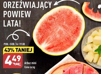 ALDI Arbuz mini 1kg oferta