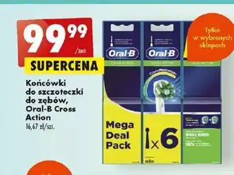Biedronka Oral-B Końcówki do szczoteczki do zębów, Cross Action oferta