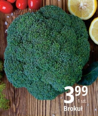 E.Leclerc Brokuł 1szt. oferta