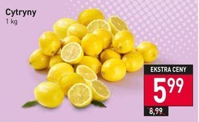 Stokrotka Cytryna oferta